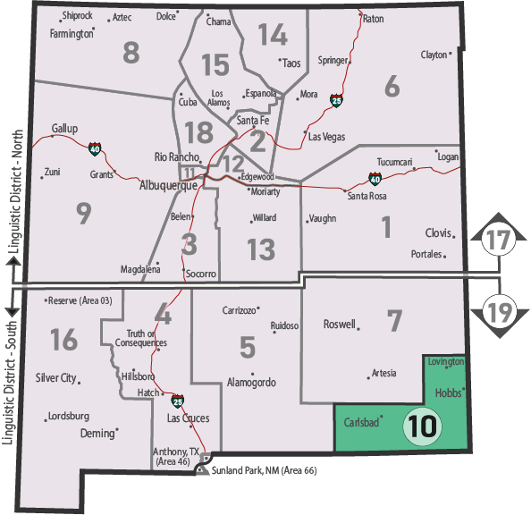 NM Area 46 District 10 Service