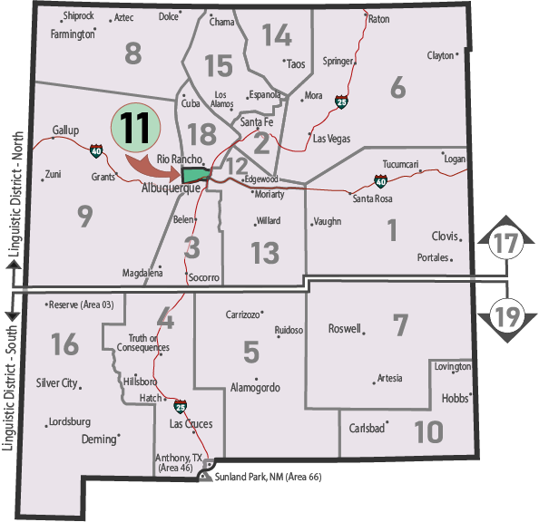 NM Area 46 District 11 Service
