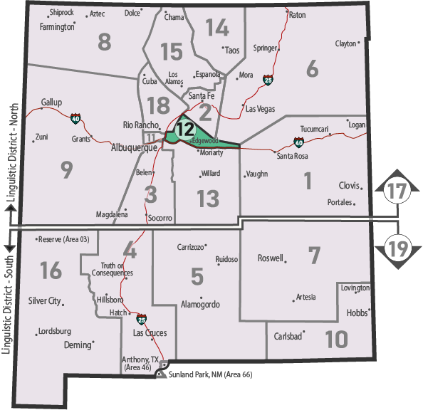 NM Area 46 District 12 Service