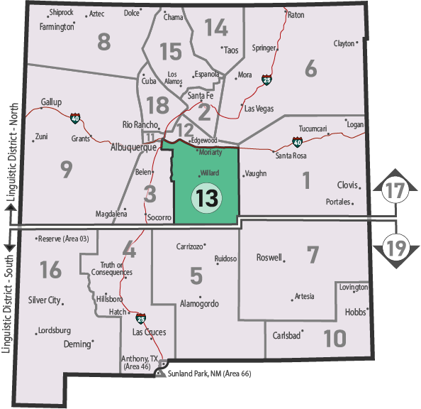 NM Area 46 District 13 Service