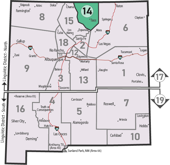 NM Area 46 District 14 Service