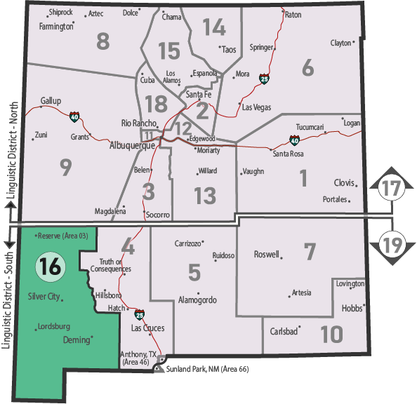 NM Area 46 District 16 Service