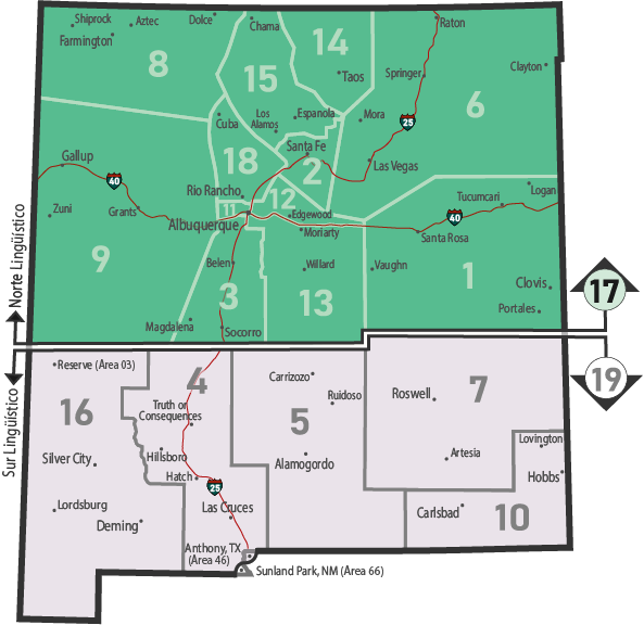NM Area 46 District 17 Service