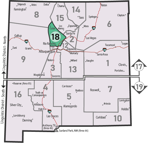 NM Area 46 District 18 Service