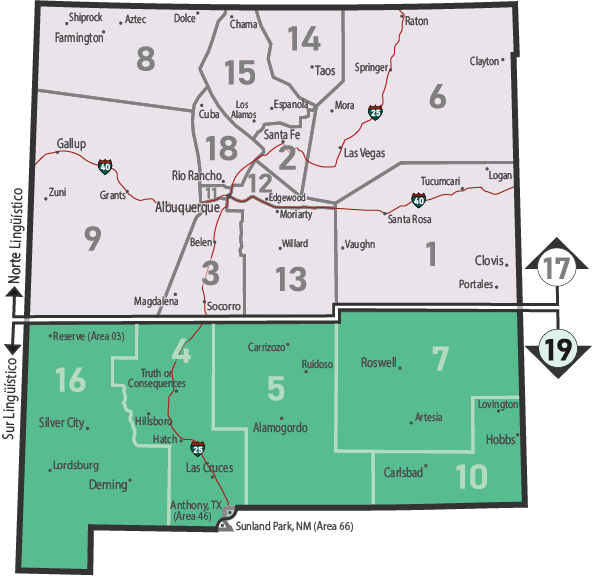 NM Area 46 District 19 Service