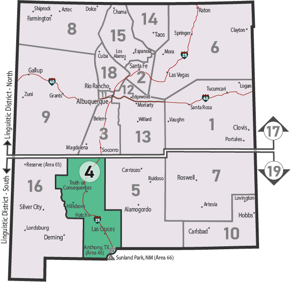 NM Area 46 District 4 Service
