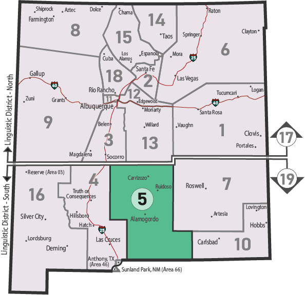 NM Area 46 District 5 Service