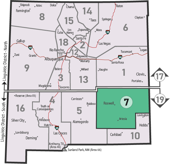 NM Area 46 District 7 Service