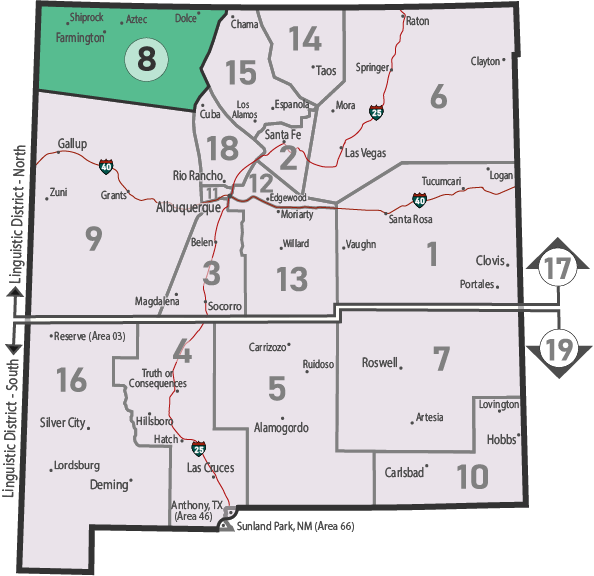 NM Area 46 District 8 Service