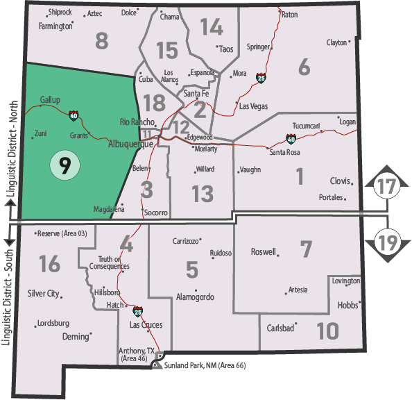 NM Area 46 District 9 Service