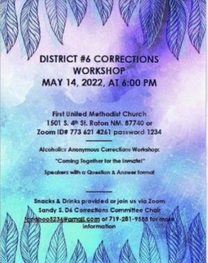 D6-Corrections-Workshop